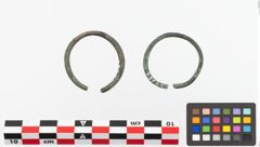 Foto von Bronzering (NHMW-PRAE-023724)
